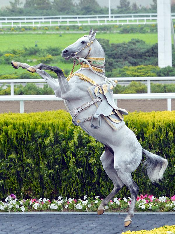 Turkmenistan Celebrates the Day of Turkmen Horse