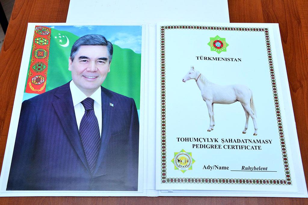 Hormatly Prezidentimiziň bedewi — «Galkynyş» toparyna sowgat
