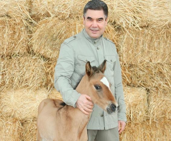 Türkmenistanyň Prezidenti Ahalteke atçylyk toplumyna bardy